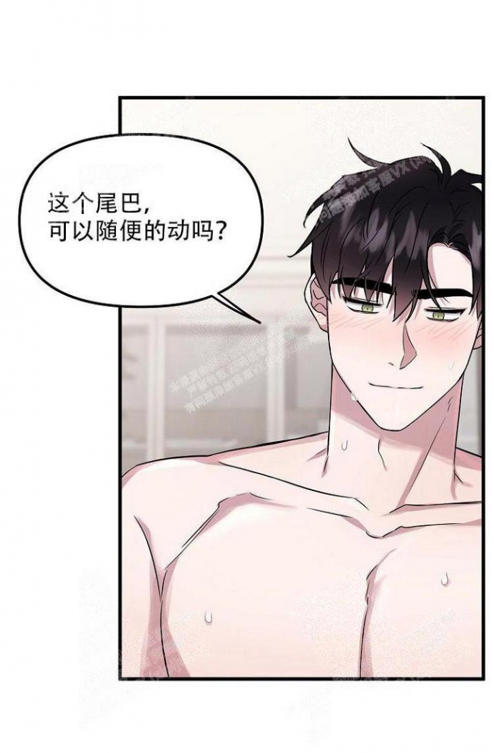 《可爱的尾巴》漫画最新章节第19话免费下拉式在线观看章节第【19】张图片