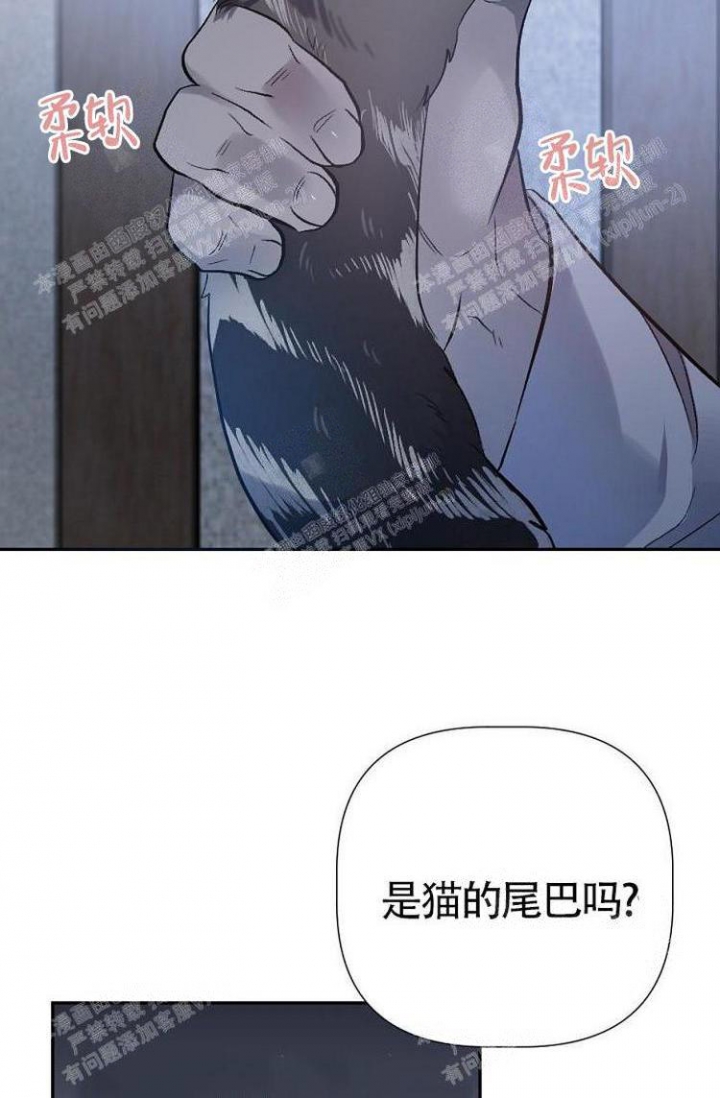 《可爱的尾巴》漫画最新章节第9话免费下拉式在线观看章节第【17】张图片