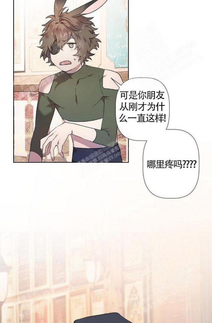 《可爱的尾巴》漫画最新章节第6话免费下拉式在线观看章节第【11】张图片