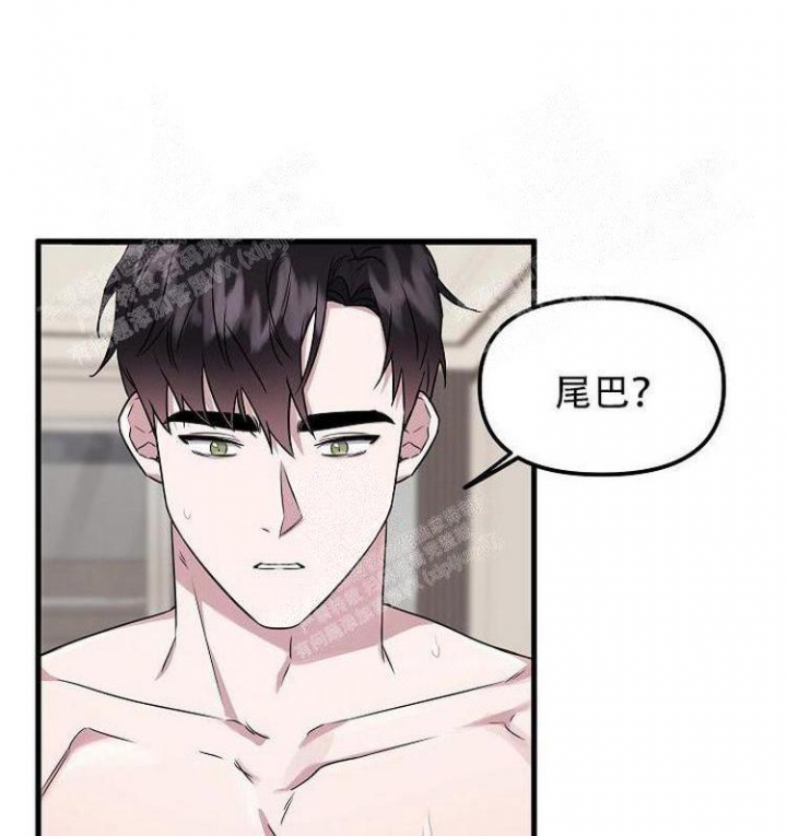 《可爱的尾巴》漫画最新章节第18话免费下拉式在线观看章节第【11】张图片