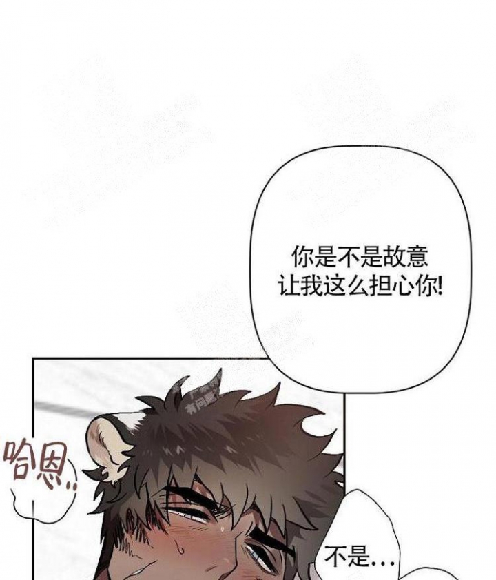 《可爱的尾巴》漫画最新章节第10话免费下拉式在线观看章节第【7】张图片