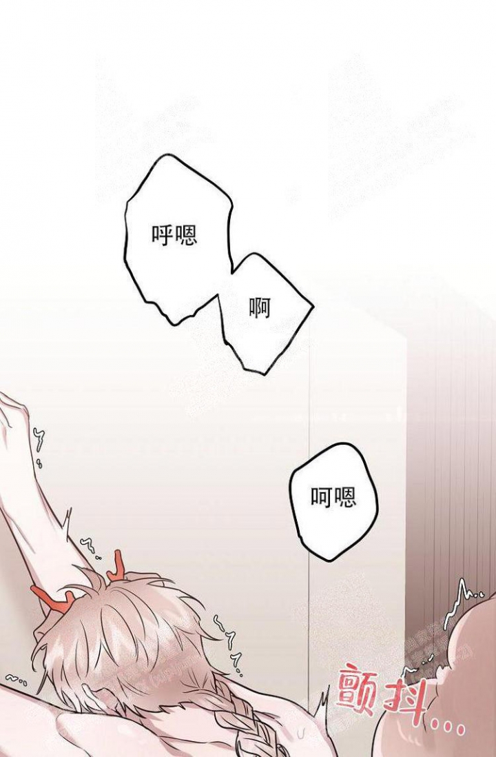 《可爱的尾巴》漫画最新章节第19话免费下拉式在线观看章节第【16】张图片