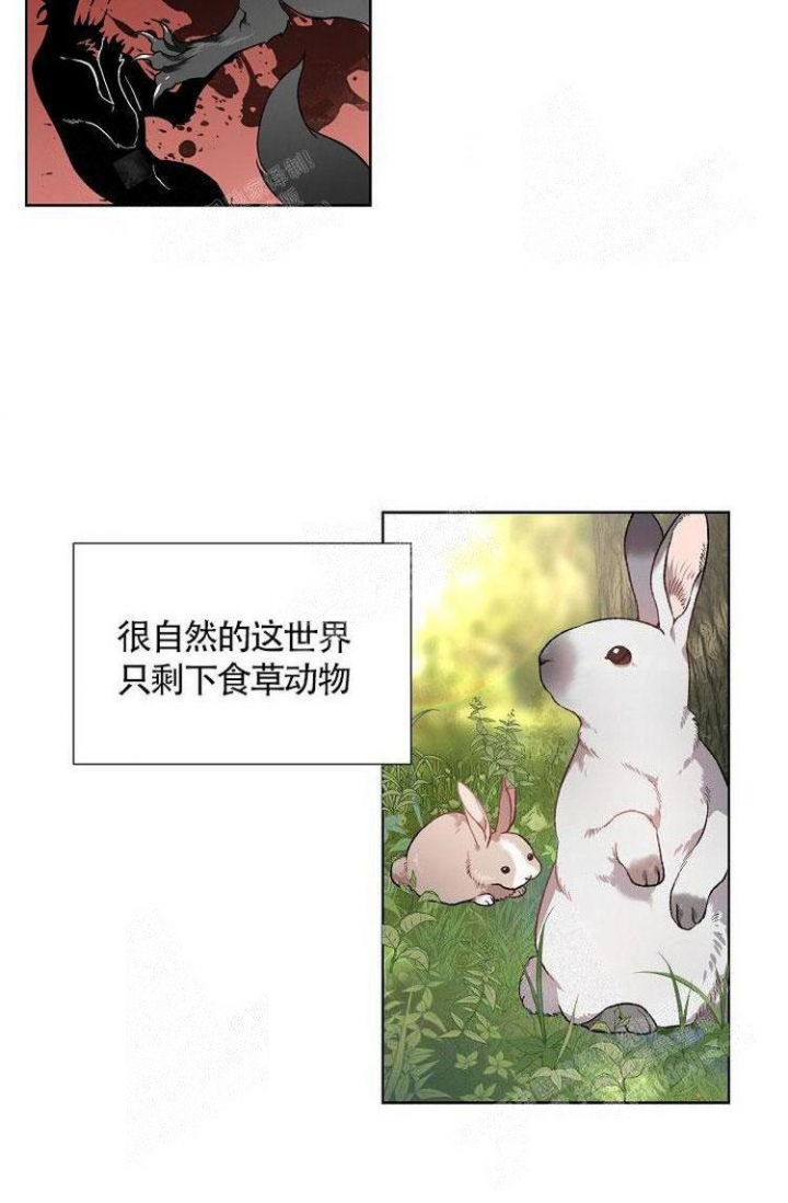 《可爱的尾巴》漫画最新章节第6话免费下拉式在线观看章节第【5】张图片