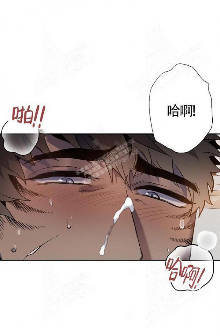 《可爱的尾巴》漫画最新章节第11话免费下拉式在线观看章节第【14】张图片