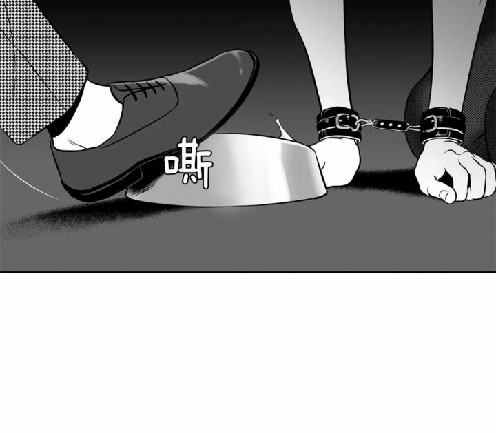 《放映时代》漫画最新章节第153话免费下拉式在线观看章节第【14】张图片