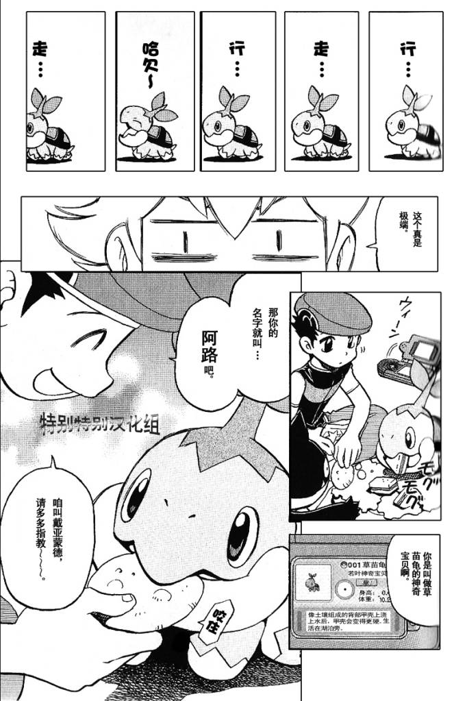 《神奇宝贝特别篇》漫画最新章节第339话免费下拉式在线观看章节第【12】张图片