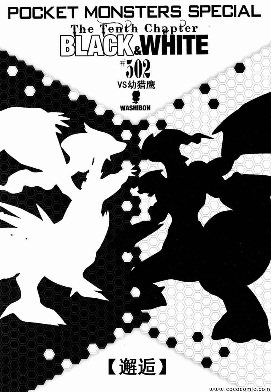 《神奇宝贝特别篇》漫画最新章节第502话 VS幼猎鹰免费下拉式在线观看章节第【1】张图片