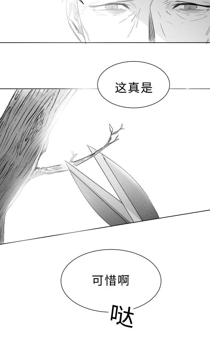 《千纸鹤/柳云鹤》漫画最新章节第11话免费下拉式在线观看章节第【11】张图片