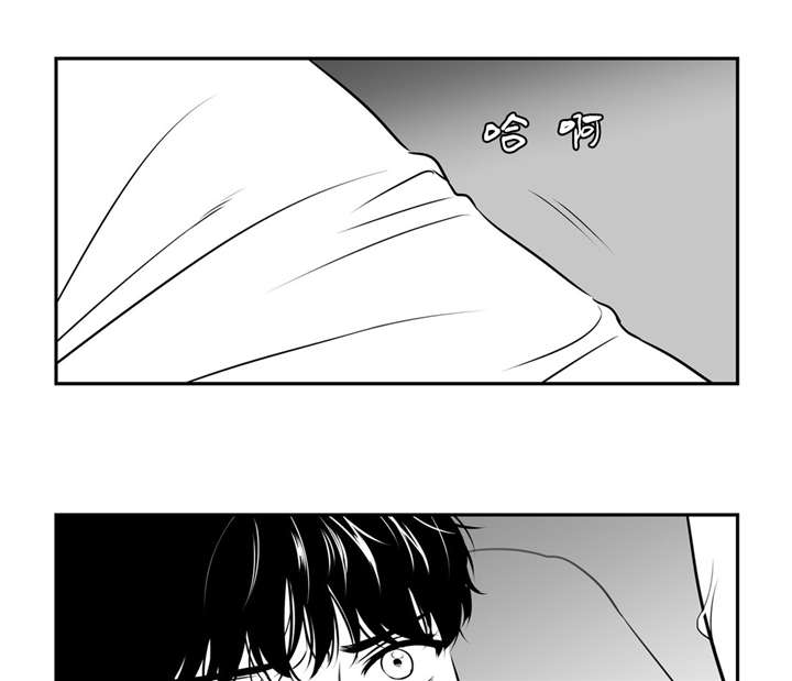 《如狼似犬/触近》漫画最新章节第128话免费下拉式在线观看章节第【3】张图片