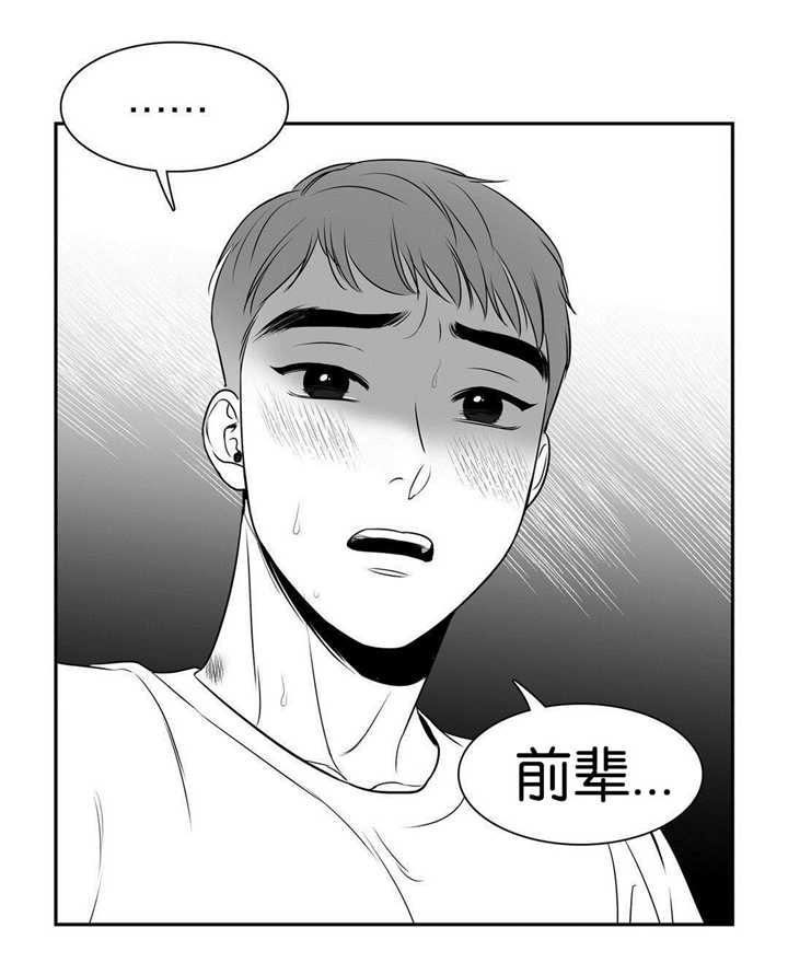 《如狼似犬/触近》漫画最新章节第63话免费下拉式在线观看章节第【11】张图片