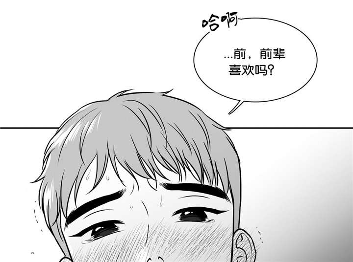 《如狼似犬/触近》漫画最新章节第128话免费下拉式在线观看章节第【17】张图片