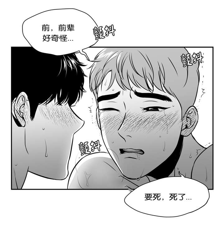 《如狼似犬/触近》漫画最新章节第128话免费下拉式在线观看章节第【23】张图片