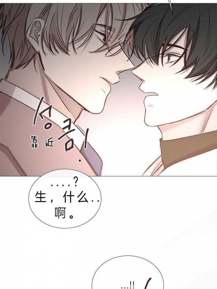 《冷温室》漫画最新章节第84话免费下拉式在线观看章节第【28】张图片