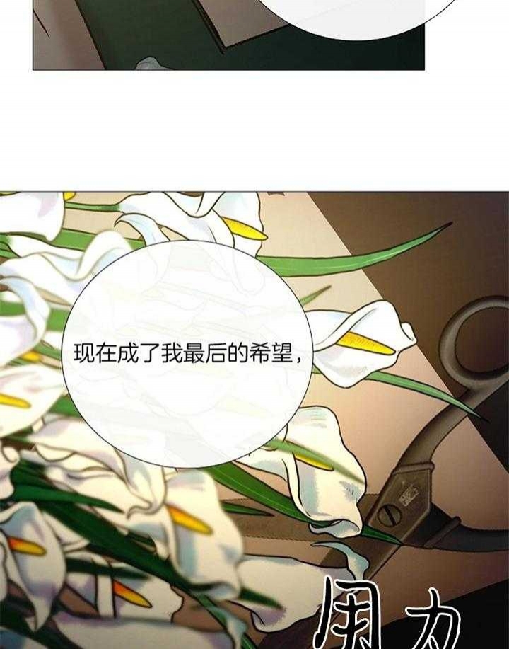 《冷温室》漫画最新章节第158话免费下拉式在线观看章节第【27】张图片