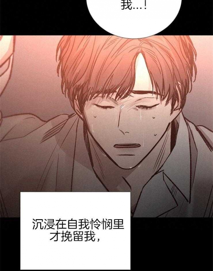 《冷温室》漫画最新章节第137话免费下拉式在线观看章节第【14】张图片