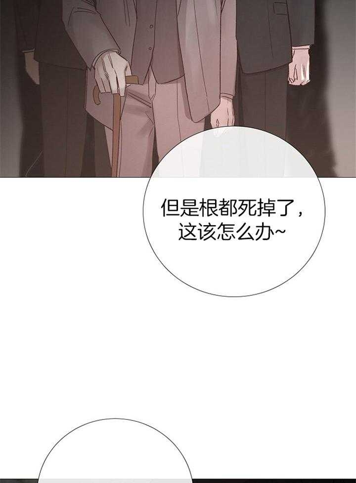 《冷温室》漫画最新章节第183话免费下拉式在线观看章节第【29】张图片