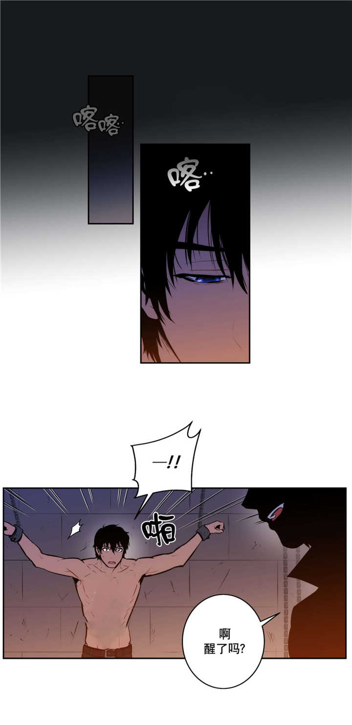 《狼人卡特》漫画最新章节第67话免费下拉式在线观看章节第【5】张图片