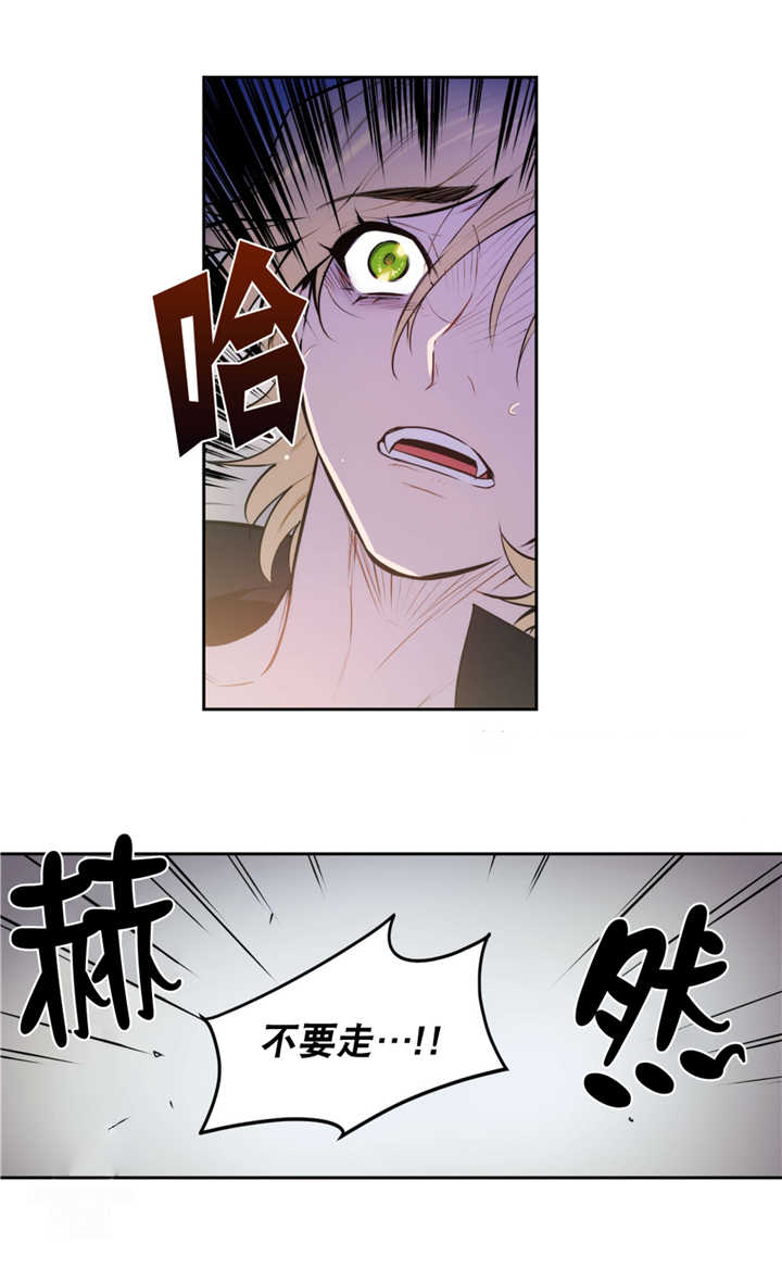 《狼人卡特》漫画最新章节第62话免费下拉式在线观看章节第【23】张图片