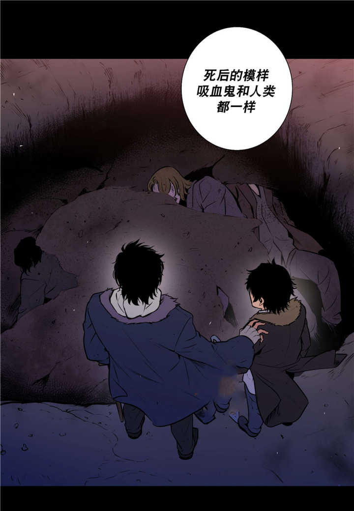 《狼人卡特》漫画最新章节第65话免费下拉式在线观看章节第【21】张图片