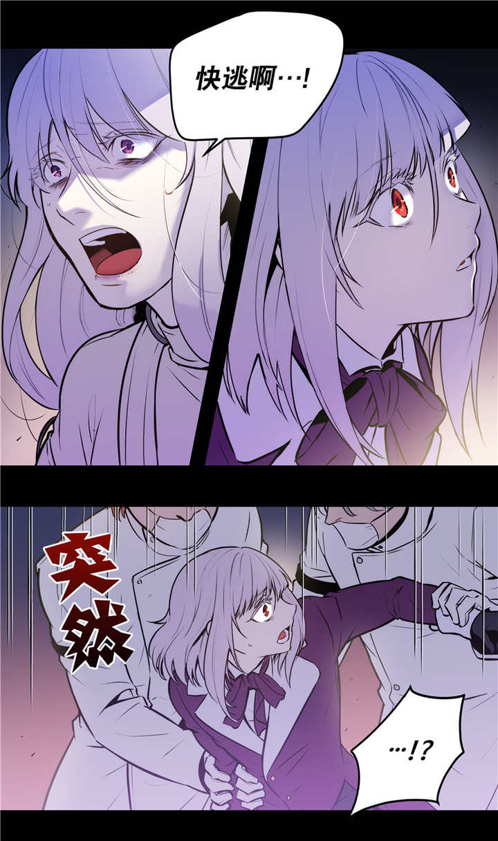 《狼人卡特》漫画最新章节第78话免费下拉式在线观看章节第【3】张图片