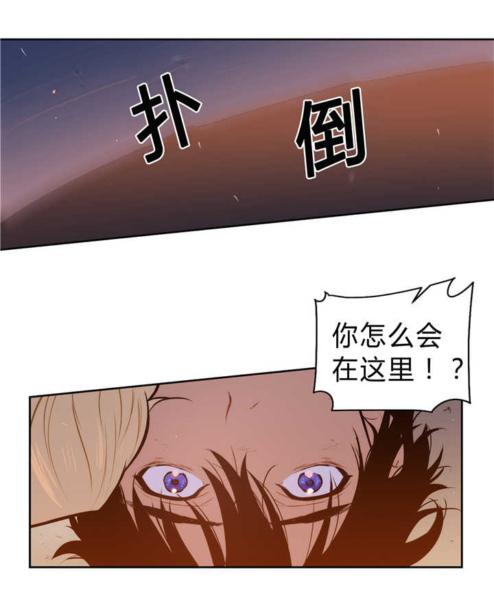 《狼人卡特》漫画最新章节第82话免费下拉式在线观看章节第【27】张图片