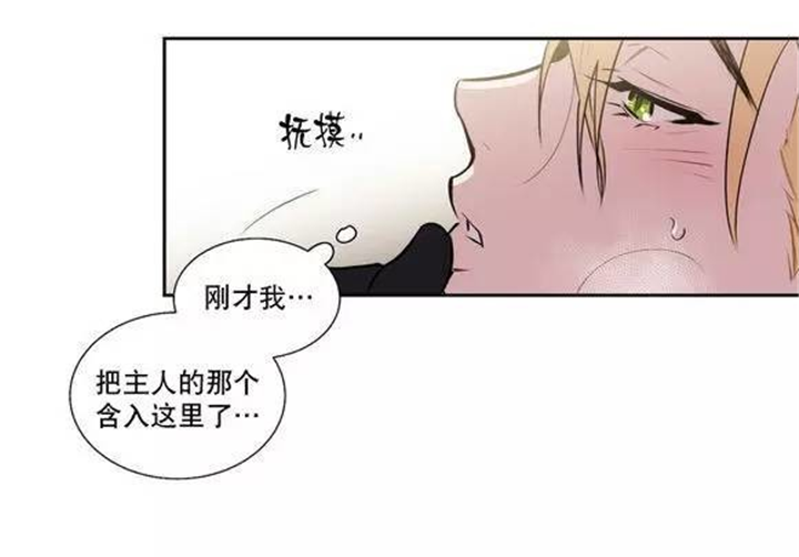 《狼人卡特》漫画最新章节第44话免费下拉式在线观看章节第【11】张图片