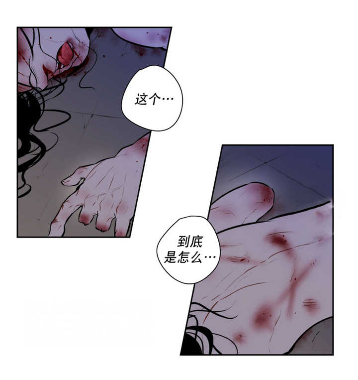 《狼人卡特》漫画最新章节第65话免费下拉式在线观看章节第【1】张图片