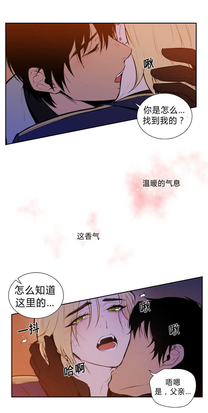 《狼人卡特》漫画最新章节第83话免费下拉式在线观看章节第【7】张图片