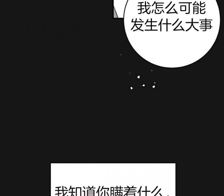 《纽约危情》漫画最新章节第149话免费下拉式在线观看章节第【3】张图片