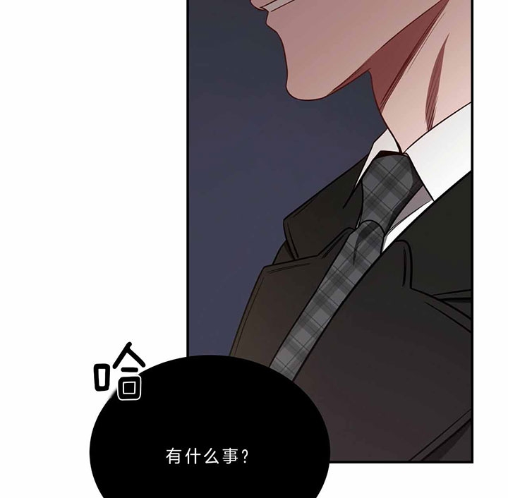 《纽约危情》漫画最新章节第68话免费下拉式在线观看章节第【31】张图片