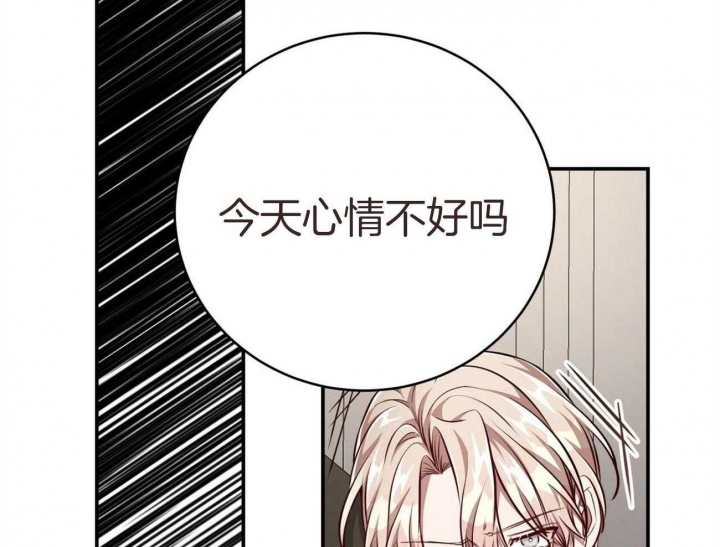 《纽约危情》漫画最新章节第139话免费下拉式在线观看章节第【33】张图片