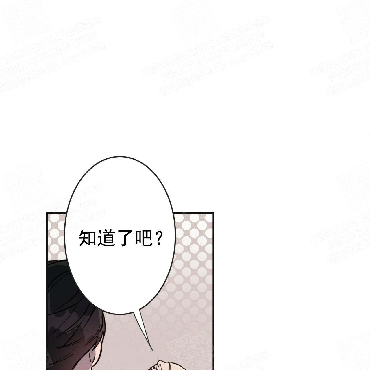 《纽约危情》漫画最新章节第19话免费下拉式在线观看章节第【1】张图片