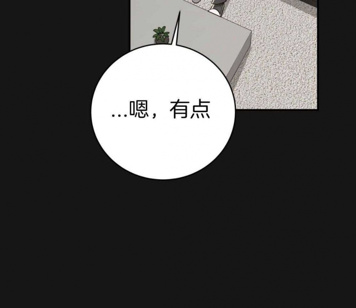 《纽约危情》漫画最新章节第148话免费下拉式在线观看章节第【14】张图片