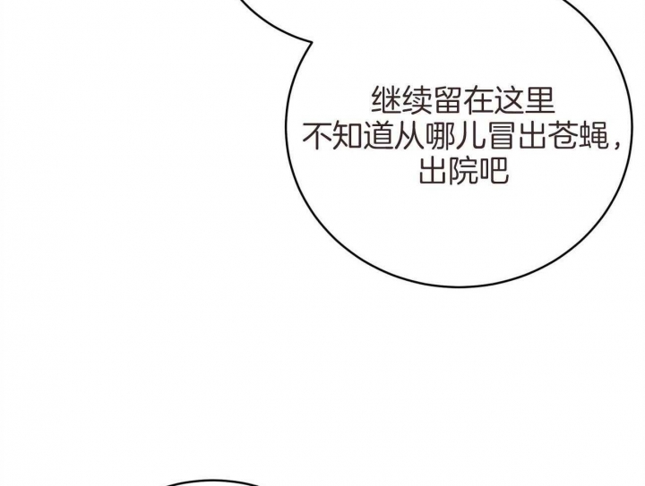 《纽约危情》漫画最新章节第140话免费下拉式在线观看章节第【50】张图片