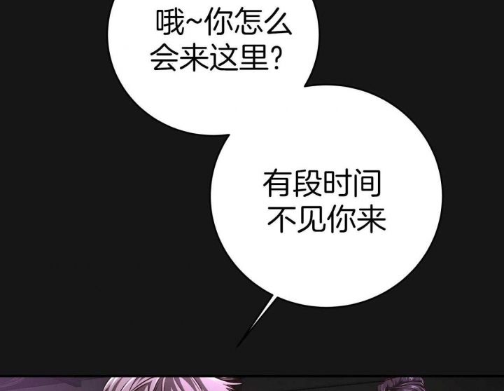 《纽约危情》漫画最新章节第153话免费下拉式在线观看章节第【14】张图片