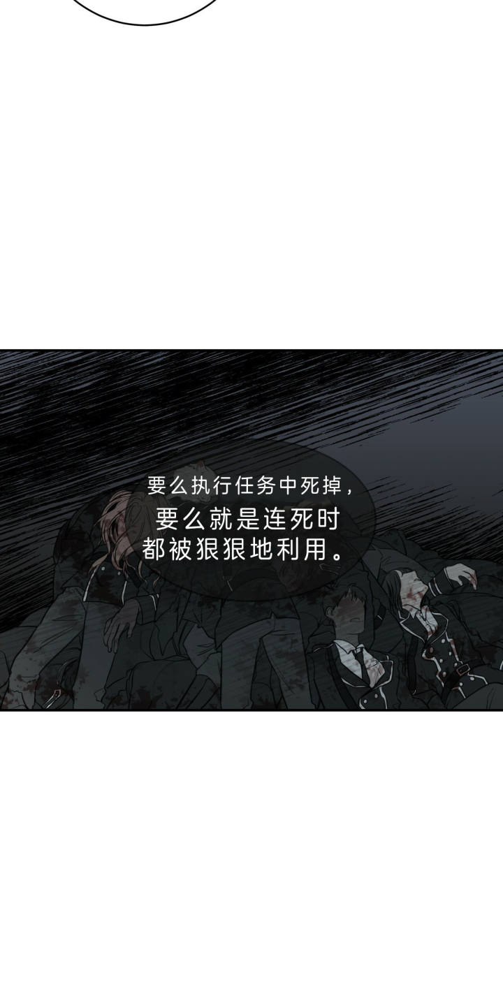 《纽约危情》漫画最新章节第38话免费下拉式在线观看章节第【33】张图片