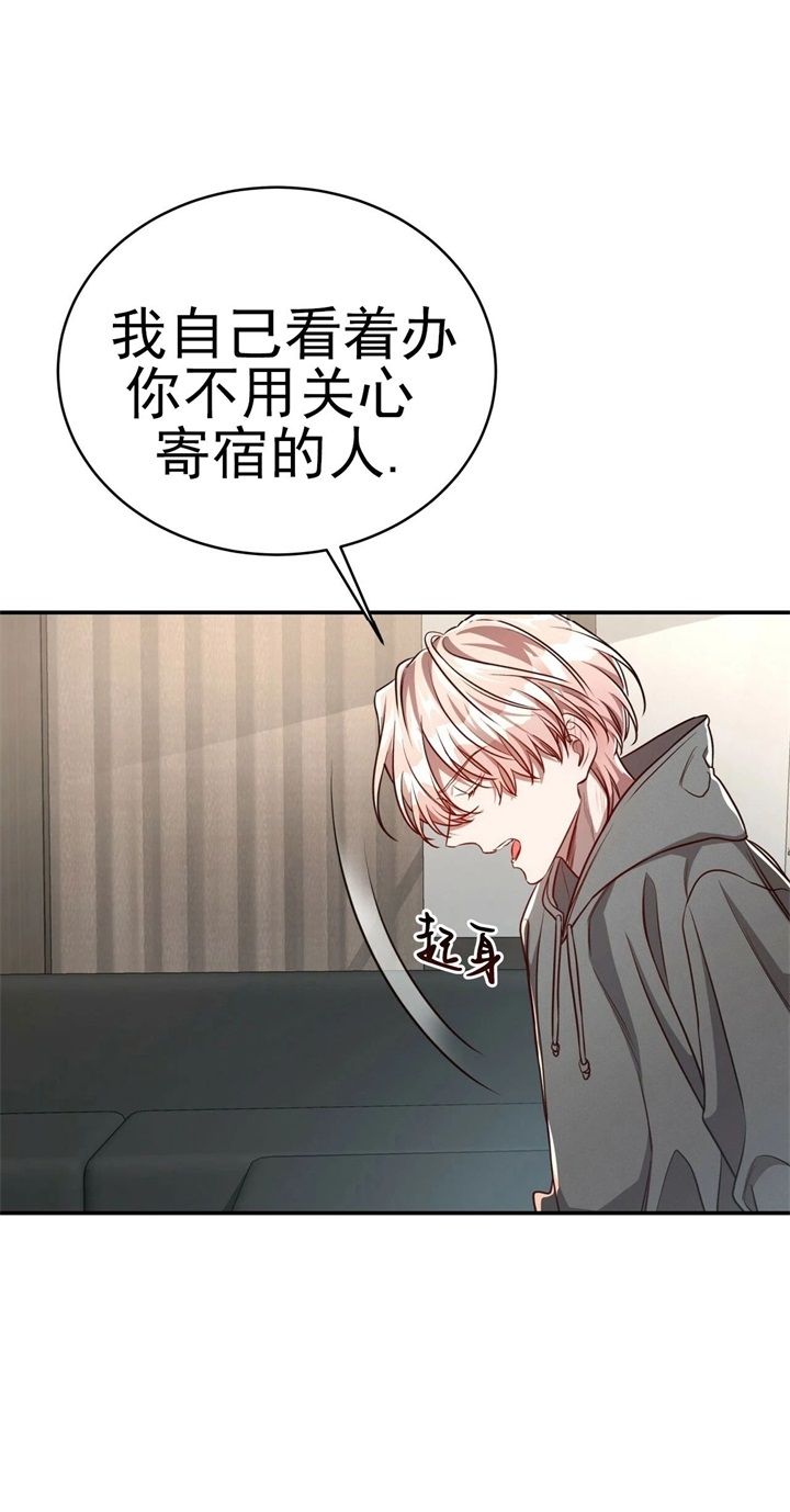 《纽约危情》漫画最新章节第109话免费下拉式在线观看章节第【13】张图片