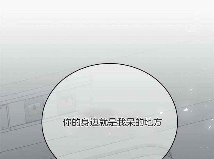 《纽约危情》漫画最新章节第137话免费下拉式在线观看章节第【84】张图片