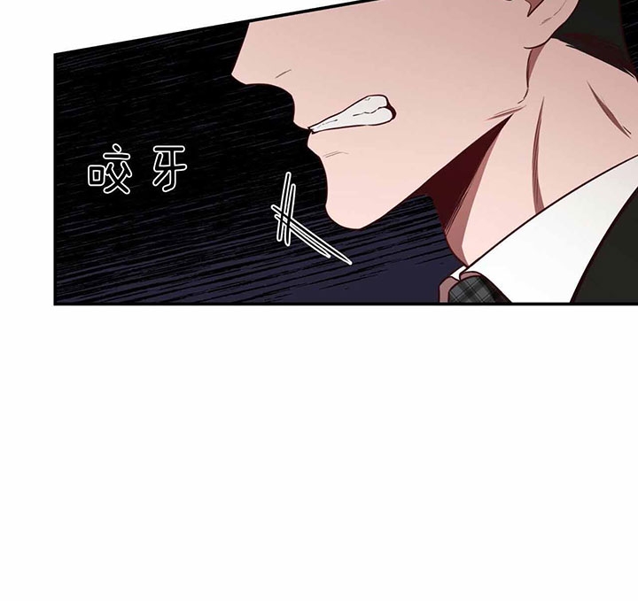 《纽约危情》漫画最新章节第69话免费下拉式在线观看章节第【2】张图片