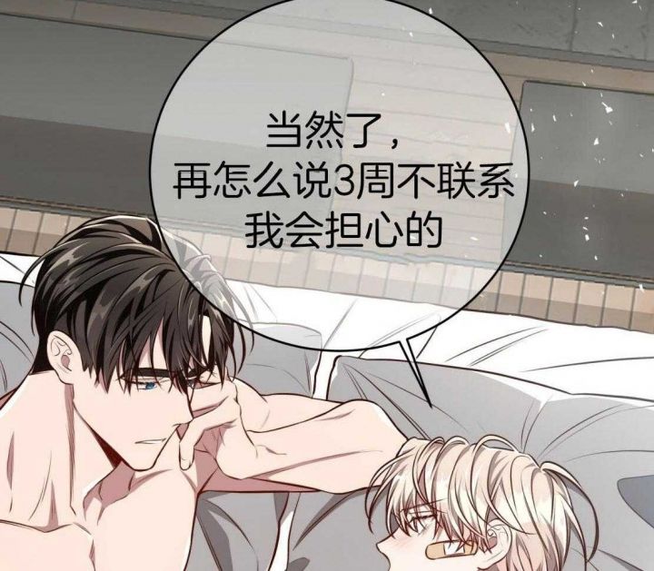 《纽约危情》漫画最新章节第149话免费下拉式在线观看章节第【16】张图片