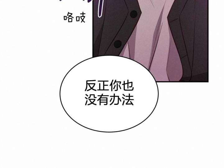 《纽约危情》漫画最新章节第102话免费下拉式在线观看章节第【65】张图片