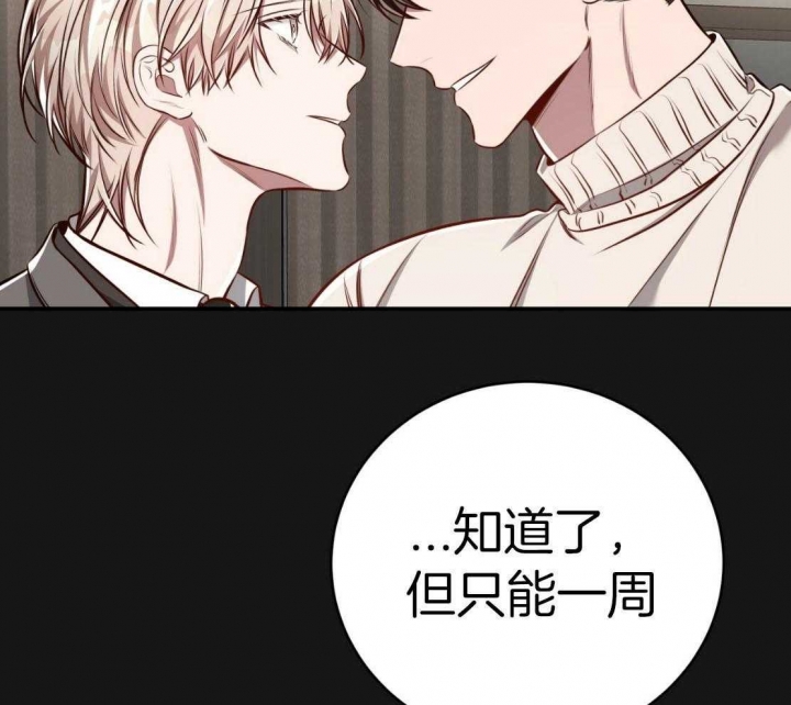 《纽约危情》漫画最新章节第151话免费下拉式在线观看章节第【5】张图片