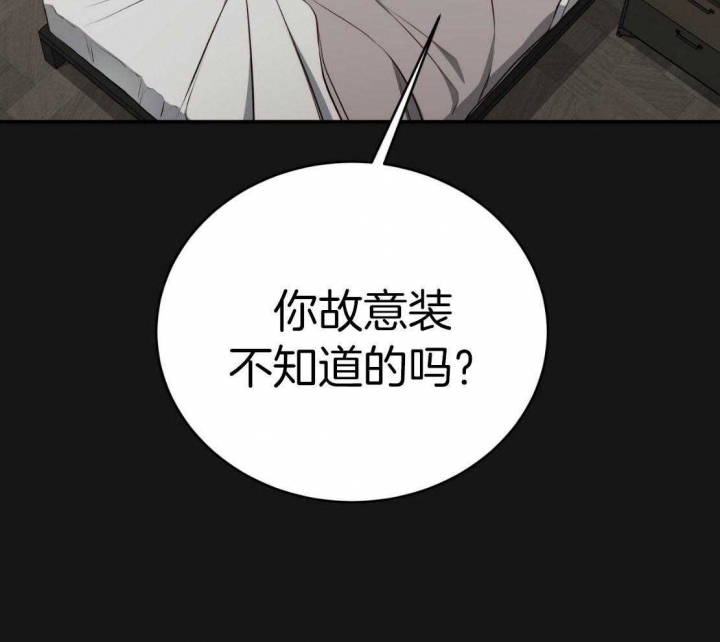 《纽约危情》漫画最新章节第151话免费下拉式在线观看章节第【29】张图片