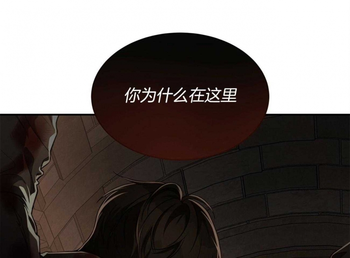 《纽约危情》漫画最新章节第89话免费下拉式在线观看章节第【5】张图片