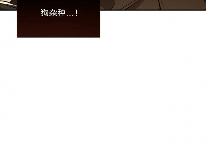 《纽约危情》漫画最新章节第96话免费下拉式在线观看章节第【20】张图片