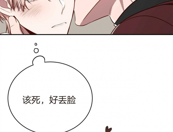 《纽约危情》漫画最新章节第140话免费下拉式在线观看章节第【69】张图片