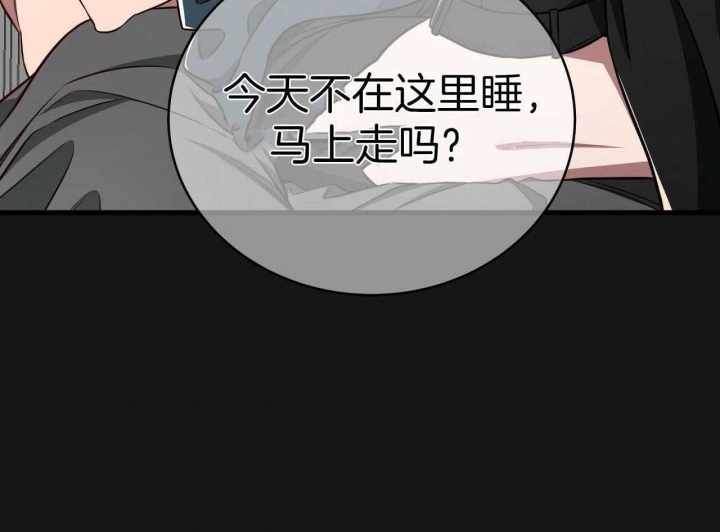 《纽约危情》漫画最新章节第155话免费下拉式在线观看章节第【11】张图片