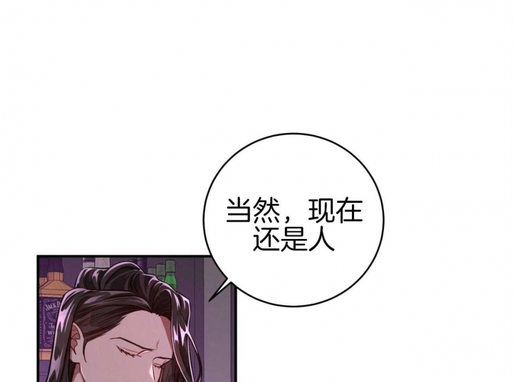 《纽约危情》漫画最新章节第102话免费下拉式在线观看章节第【39】张图片