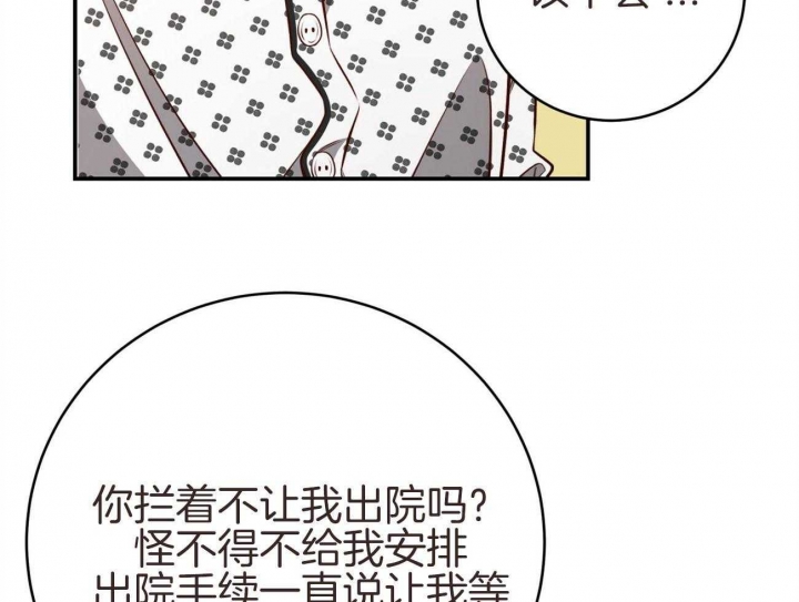 《纽约危情》漫画最新章节第140话免费下拉式在线观看章节第【53】张图片