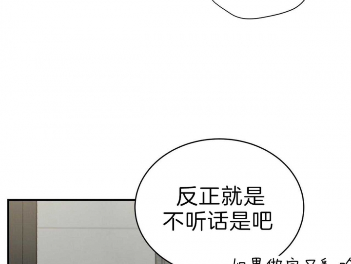 《纽约危情》漫画最新章节第79话免费下拉式在线观看章节第【20】张图片